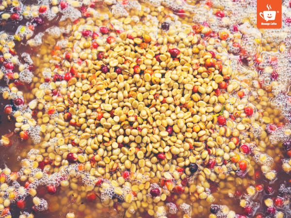 messagecoffee-so-che-ca-phe-phuong-phap