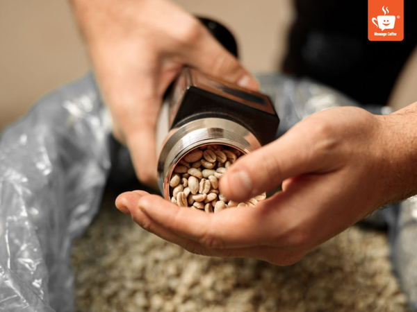 messagecoffee-so-che-ca-phe-phuong-phap