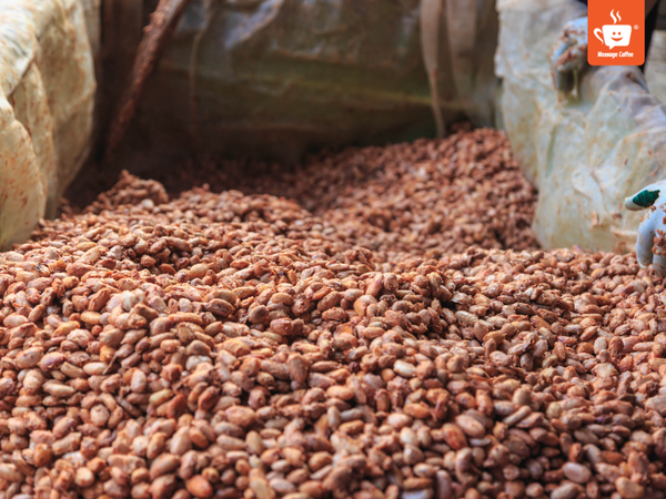 messagecoffee-so-che-ca-phe-phuong-phap