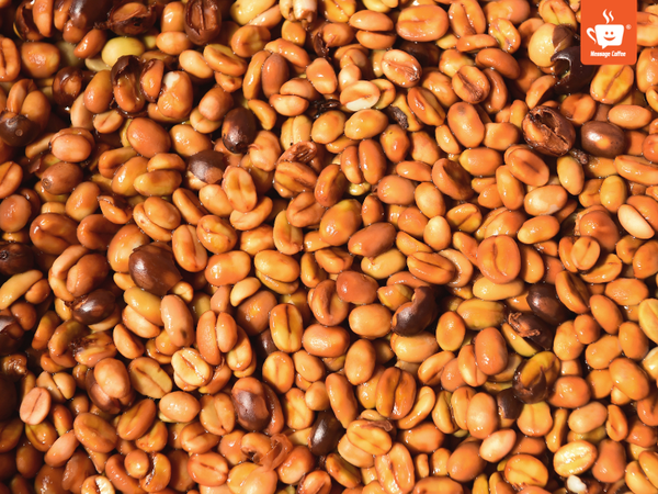 messagecoffee-so-che-ca-phe-phuong-phap