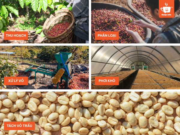 messagecoffee-so-che-ca-phe-phuong-phap