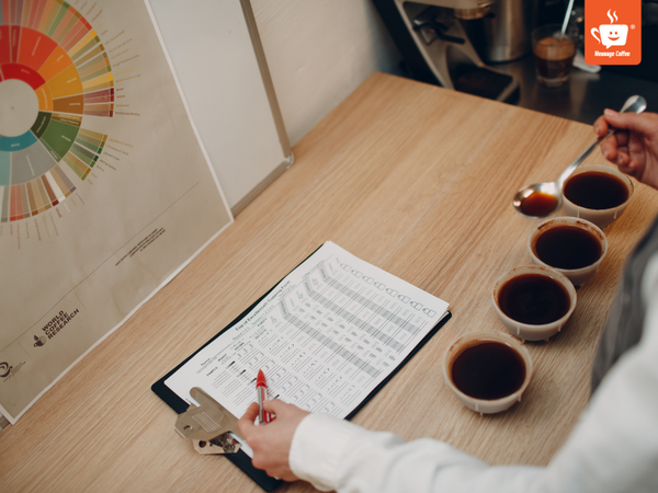 messagecoffee-cupping-coffee-la-gi