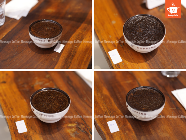 messagecoffee-cupping-coffee-la-gi