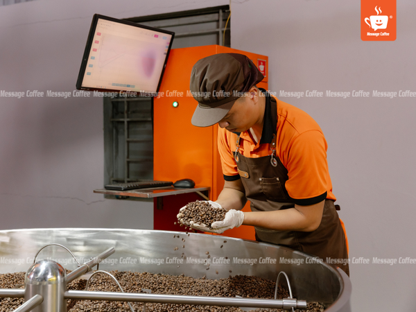 messagecoffee-nhan-san-xuat-vietnam-specialty-coffee