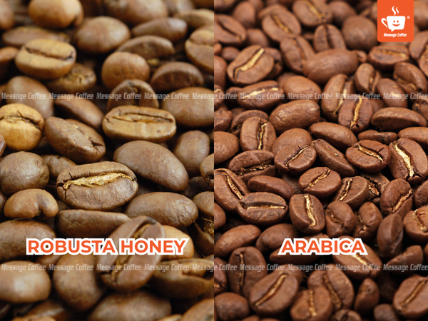 messagecoffee-huong-vi-dac-truong-robusta-honey