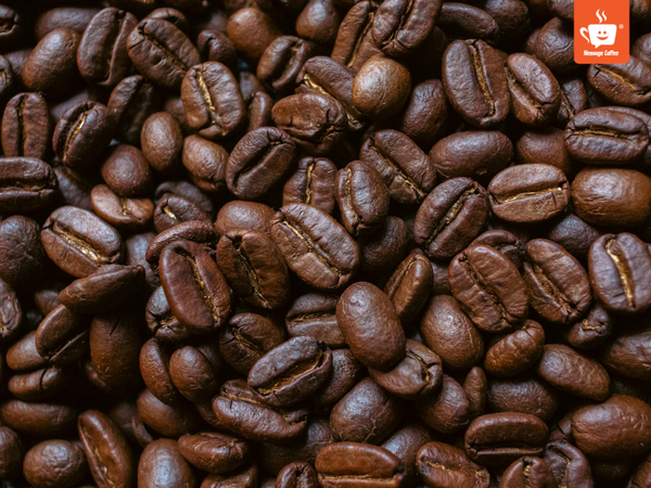 messagecoffee-huong-vi-dac-truong-robusta-honey
