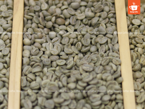 quy-trinh-che-bien-ca-phe-robusta-honey