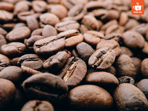 messagecoffee-cupping-coffee