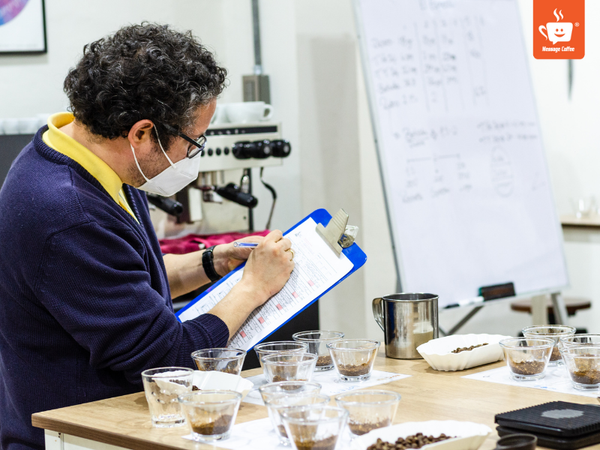 messagecoffee-cupping-coffee-la-gi