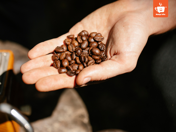 messagecoffee-nha-cung-cap-cafe-sach