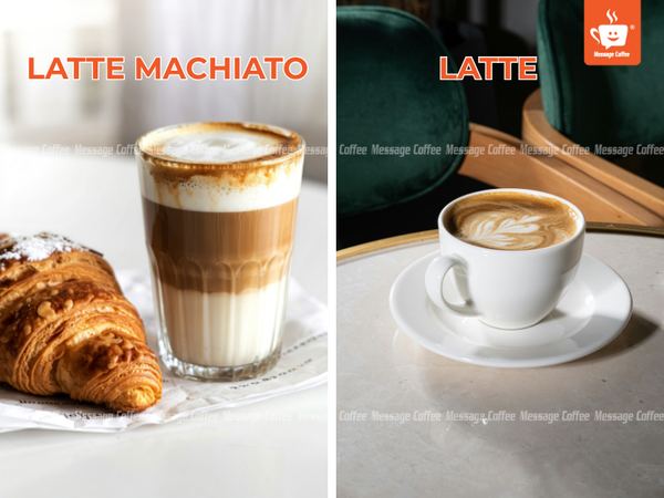 messagecoffee-phan-biet-cac-loai-ca-phe-y