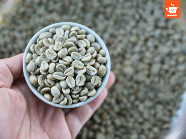 messagecoffee-quy-trinh-rang-ca-phe