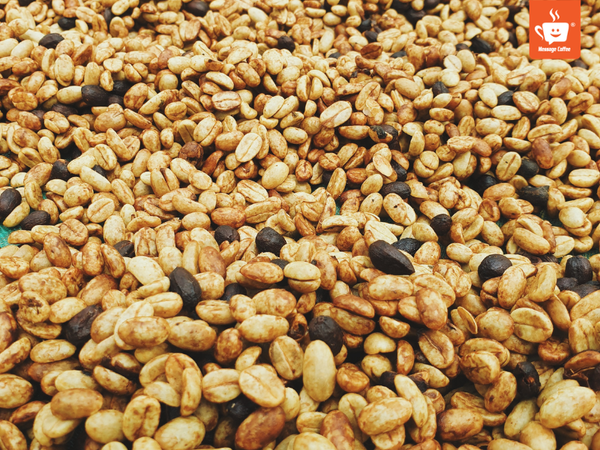quy-trinh-che-bien-ca-phe-robusta-honey