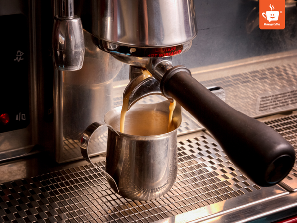 messagecoffee-cung-cap-ca-phe-specialty