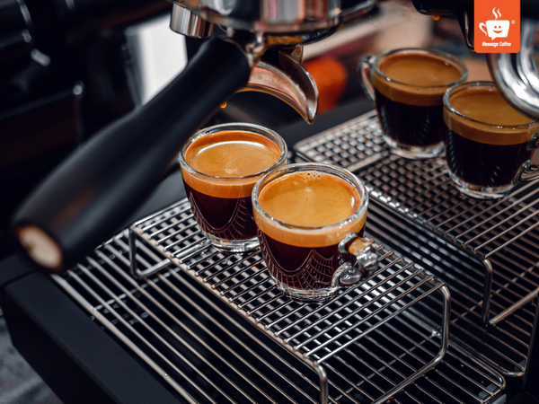 messagecoffee-phan-biet-cac-loai-ca-phe-y