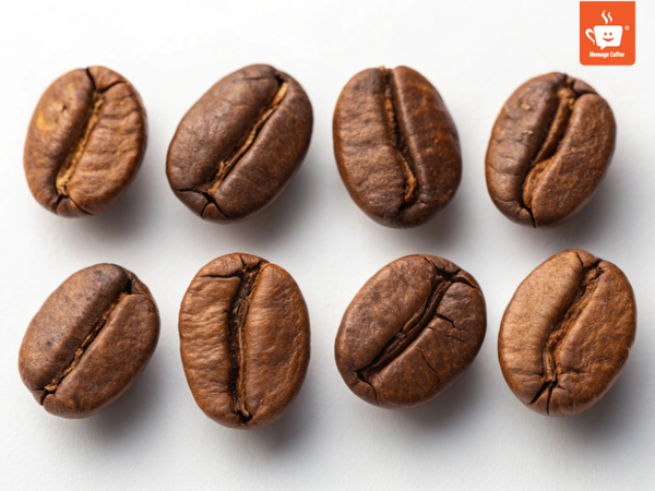 messagecoffee-phan-loai-chat-luong-ca-phe