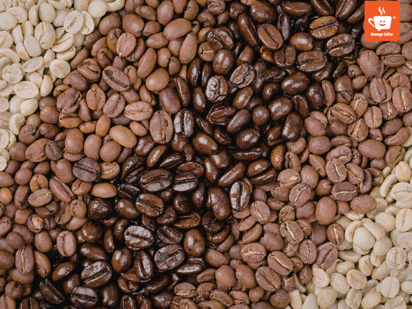 messagecoffee-phan-loai-chat-luong-ca-phe