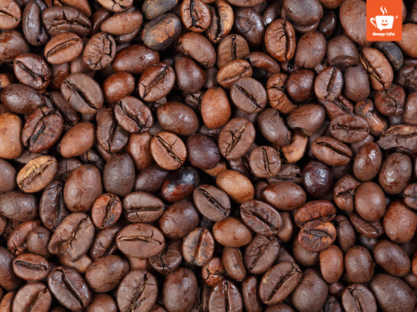 messagecoffee-bao-quan-ca-phe-sau-rang-da-pha-dung-cach