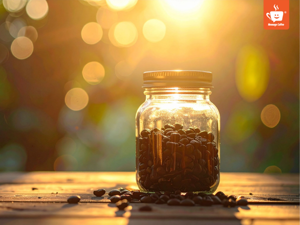 messagecoffee-bao-quan-ca-phe-sau-rang-da-pha-dung-cach