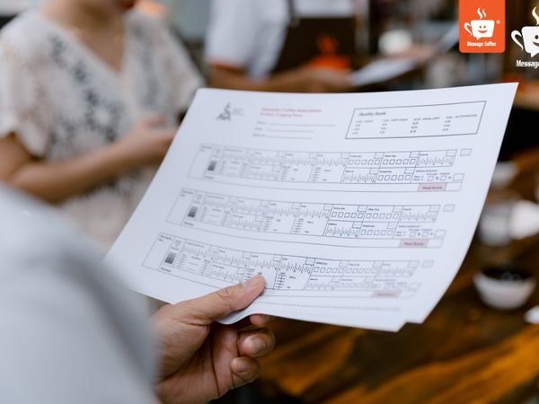 messagecoffee-cham-diem-specialty-coffee