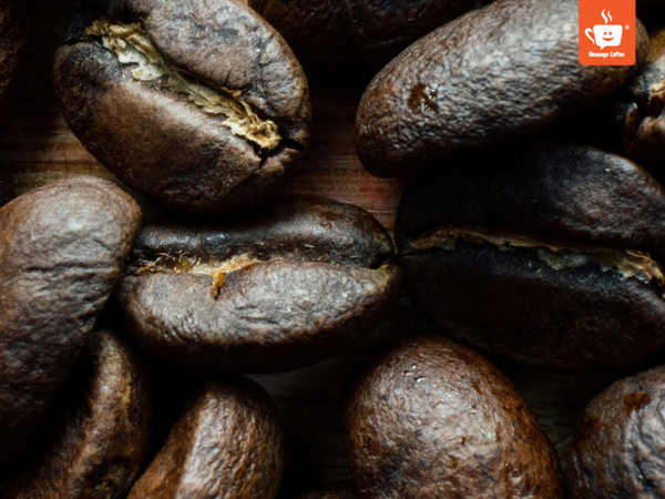 messagecoffee-nha-cung-cap-cafe-sach