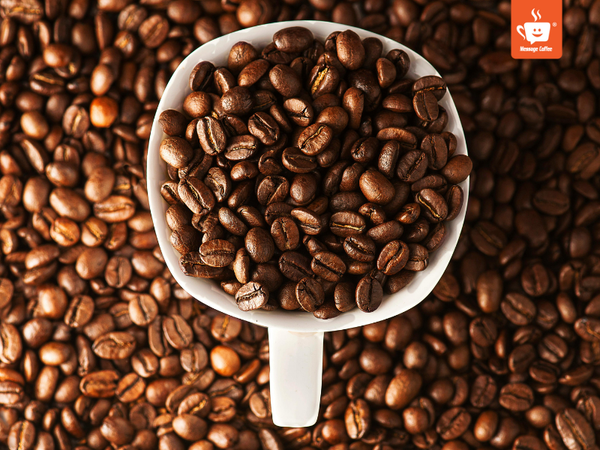 messagecoffee-specialty-coffee-la-gi