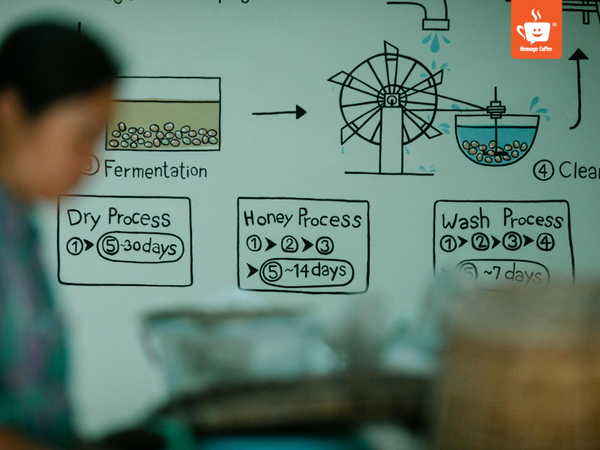 messagecoffee-specialty-coffee-la-gi