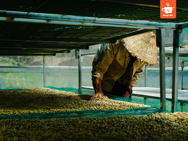 messagecoffee-specialty-coffee-la-gi