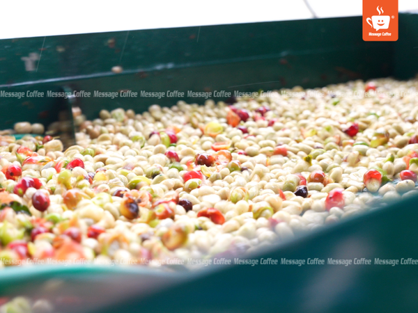 messagecoffee-su-pha-che-vietnam-specialty-coffee