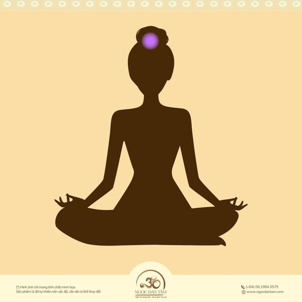 Vị trí của luân xa vương miện trên cơ thể