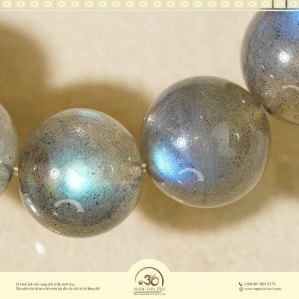 ánh lửa xà cừ (2)