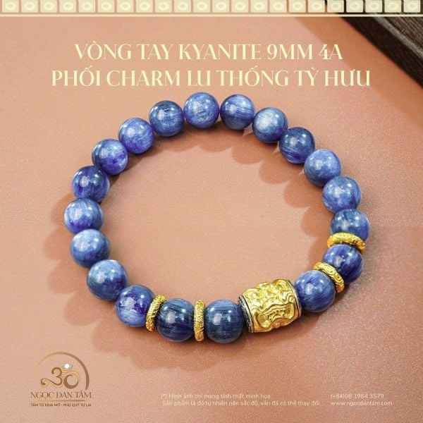 Vòng tay Kyanite phối charm Lu Thống Tỳ Hưu