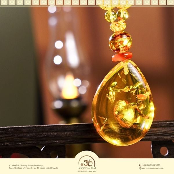 kiểm tra hổ phách bọt khí