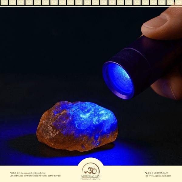 kiểm tra hổ phách bằng đèn UV