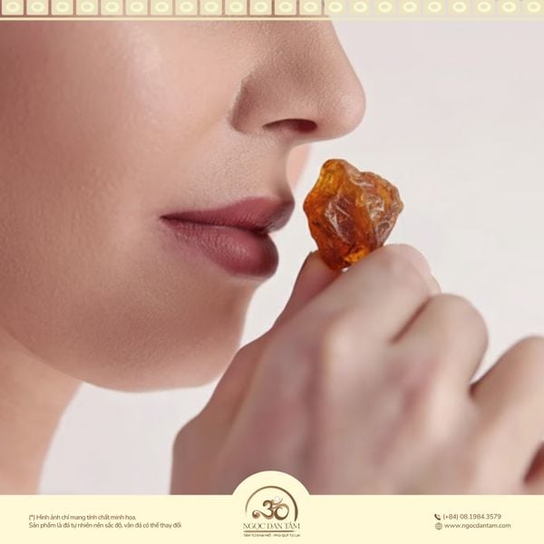 kiểm tra hổ phách bằng mùi