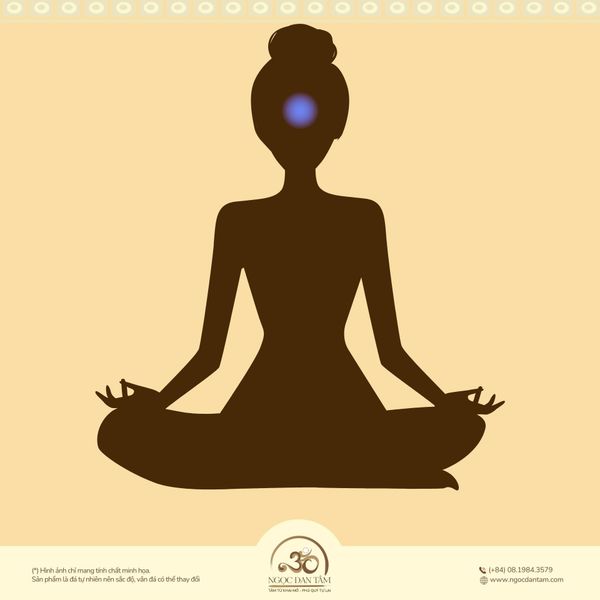 Vị trí của luân xa 6 trên cơ thể