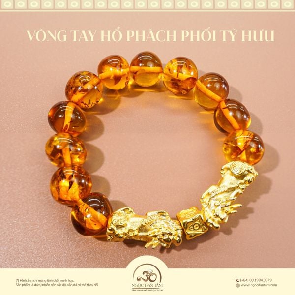 hổ phách phối tỳ hưu