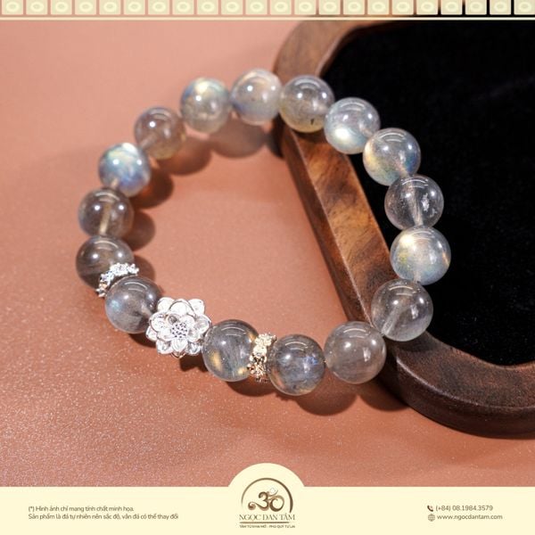 xà cừ (3)