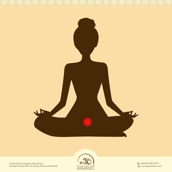 Vị trí của luân xa gốc trên cơ thể