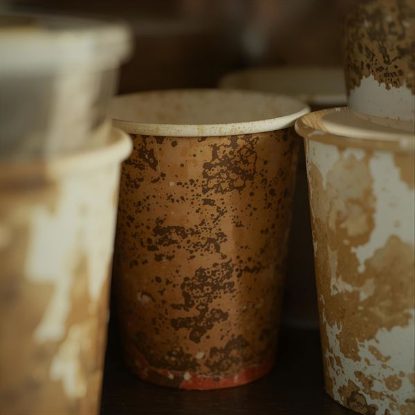 cốc giấy để lâu bị ẩm mốc khi lưu kho không đúng cách