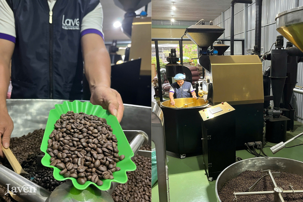 laven-gia-cong-qua-tet-ca-phe-theo-yeu-cau-gia-re-ho-chi-minh-bien-hoa