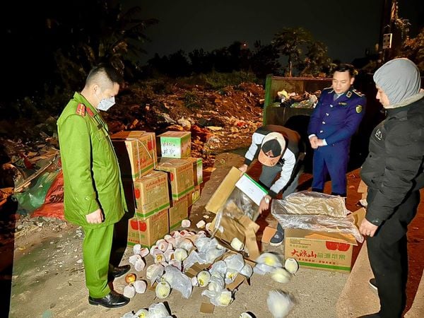 hoa quả nhập lậu