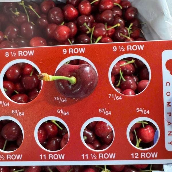 Thước đo size Cherry  Mỹ