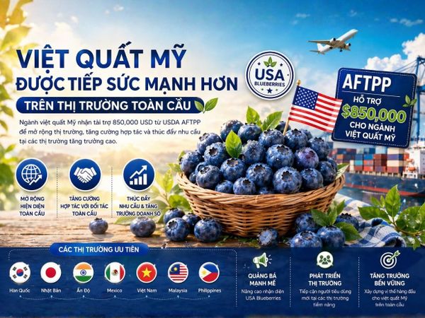 Việt Quất Mỹ Được Tiếp Sức Mạnh Hơn Trên Thị Trường Toàn Cầu Nhờ Gói Tài Trợ Mới