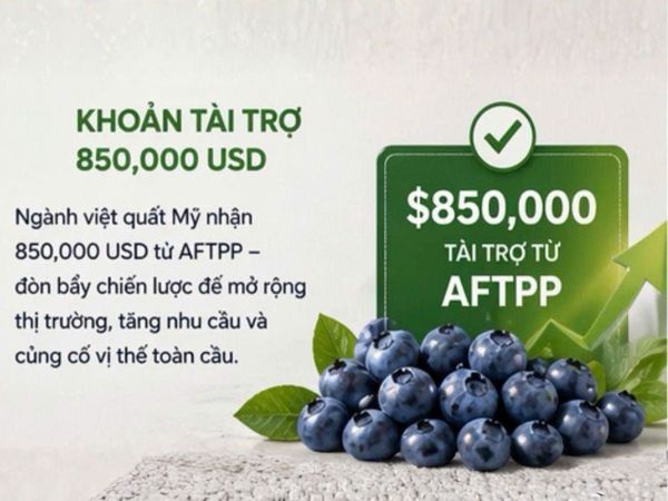 khoản tài trợ 850.000USD