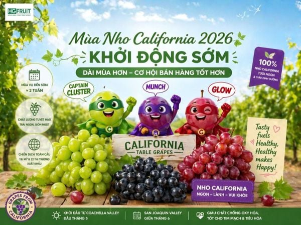 Mùa nho California 2026 đến sớm hơn thường lệ