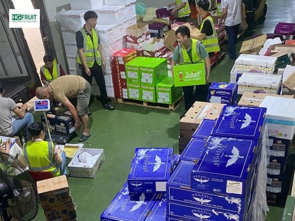 Hoàng Giang Fruit tổng kho sỉ trái cây nhập khẩu giá tốt