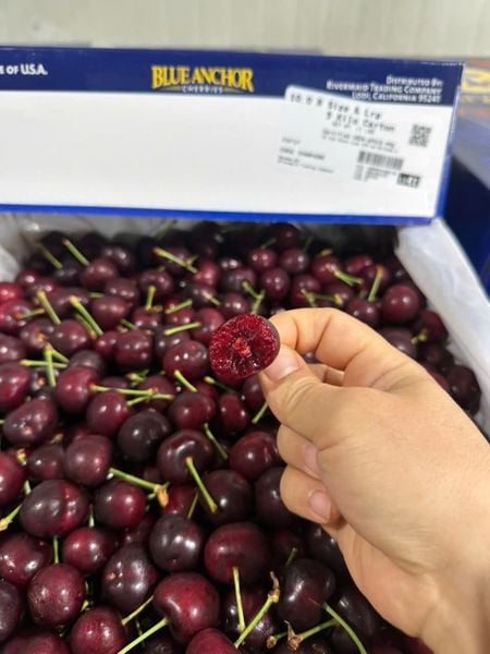 Cherry Mỹ - Quà tặng 21/6 cao cấp