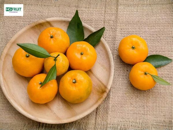 quýt satsuma hàn quốc