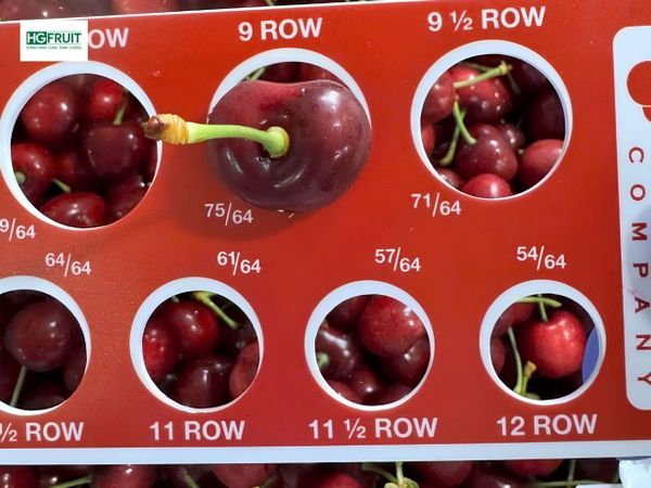 Thước đo cherry mỹ đơn vị row